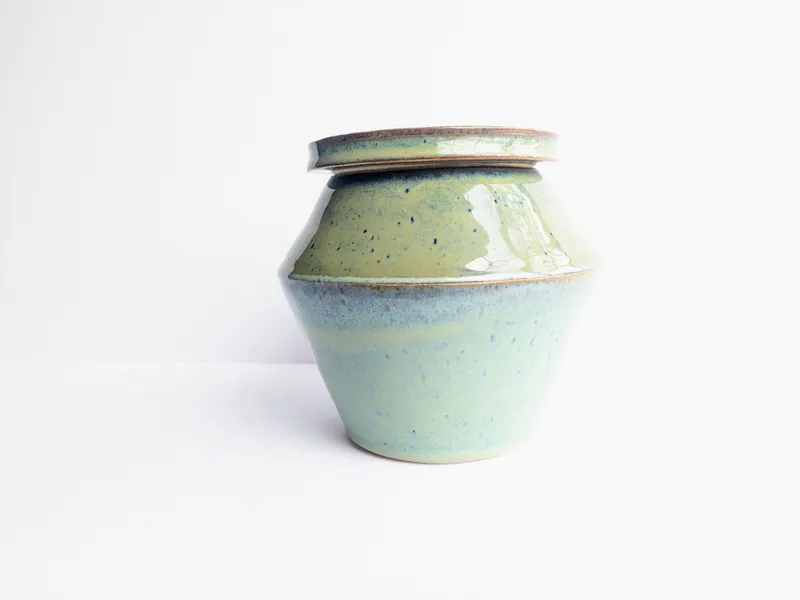 Stratum Jar in Lake Bed